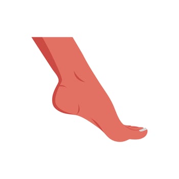 Heel, Human Body Part Illustration vector