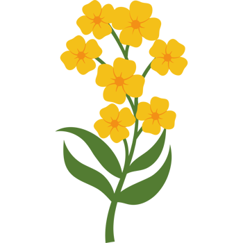 flower and leaves png