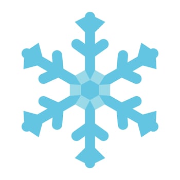 snowflake flat icon vector