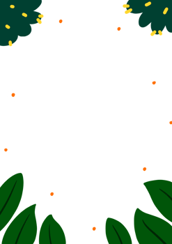 Frame with white flowers and leaves png