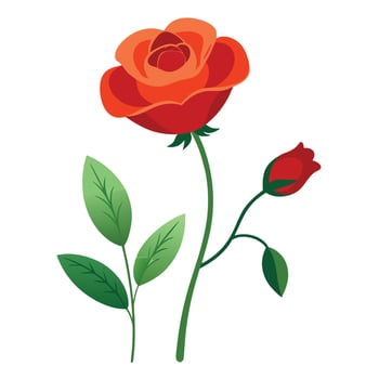 Red rose with green leaves illustration vector