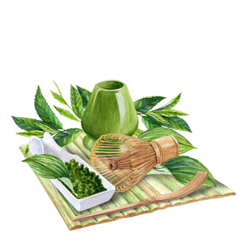 Hand drawn Matcha set in watercolor technique png