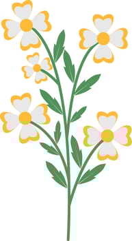 Spring Floral Flower with White Color vector