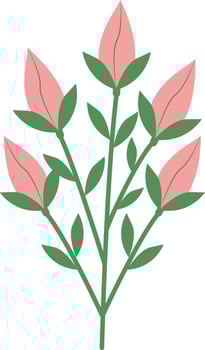Summer Floral Blossom with Pink Color vector