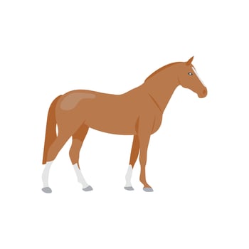 Horse Flat Icon, illustration vector