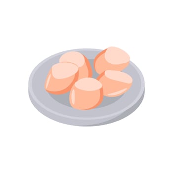 Raw Scallops, Seafood Illustration vector