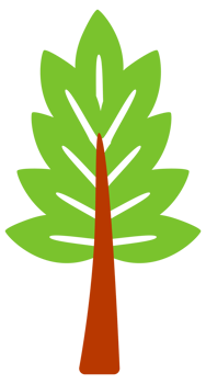Set of trees. Forest tree nature plant. illustration png