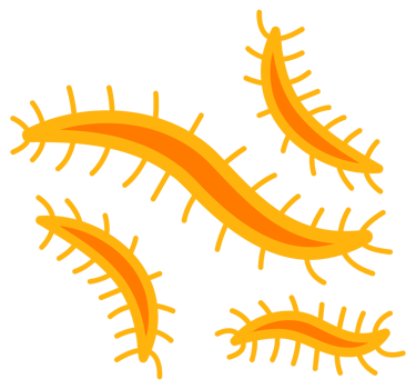 Bacteria and germs set. Types and microorganism. Germs and bacillus. png