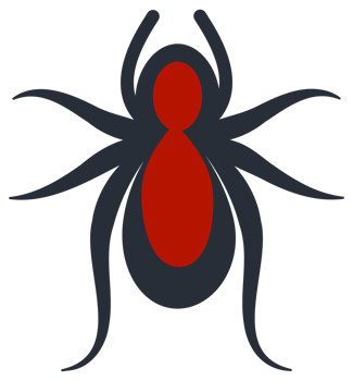 Insects set on white background. Ladybug and spider, mosquito. png