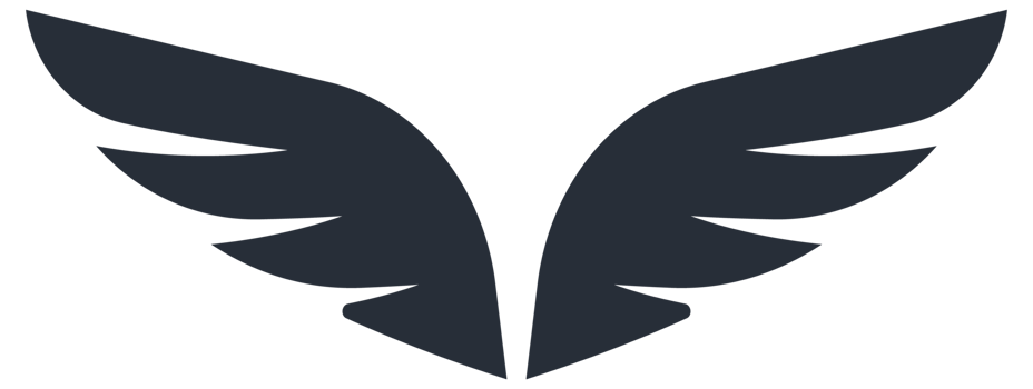 Set of black angel wings. White cute wings of animal png