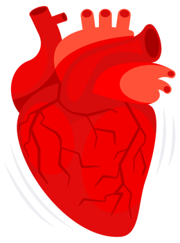 Human heart. The heart with the venous system. Cardiology, anatomy concept. illustration png