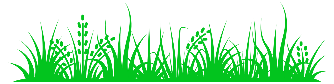 Set of green and black grass silhouettes with different lengths and flower buds, suitable for environmental and landscape designs png