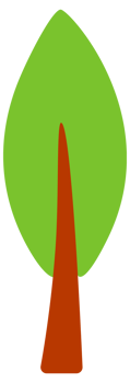 Set of trees. Forest tree nature plant. illustration png
