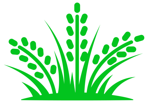 Set of green and black grass silhouettes with different lengths and flower buds, suitable for environmental and landscape designs png