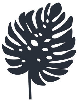 Collection of tropical plant leaf silhouettes, featuring a variety of shapes and sizes, ideal for botanical themes png