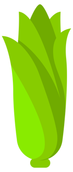 Cartoon corn. Fresh organic vegetable. illustration png