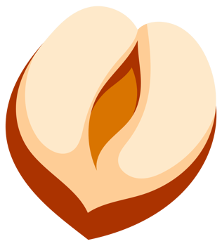 Hazelnuts at various stages of ripeness, showcasing the nut, shell, and kernel, providing a comprehensive visual guide to this popular nut png