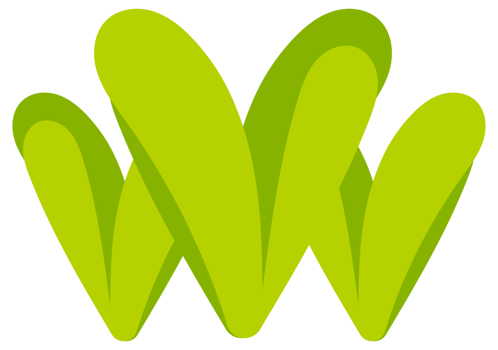 Collection of simple stylized green trees and bushes, perfect for representing nature in a simplified way png