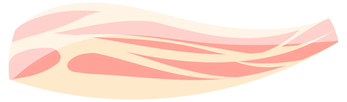 Bacon icons set. Raw or Smoked Bacon strips. Thin Fatty Slices of Pork Rashers. png