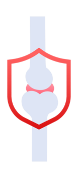 Bone protection shield representing joint health and medical insurance png