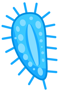Bacteria and germs set. Types and microorganism. Germs and bacillus. png