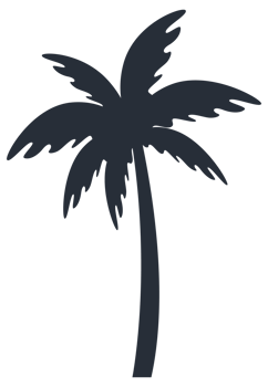 silhouette illustration of tropical palm trees in varying sizes on a plain background png