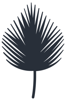 Collection of tropical plant leaf silhouettes, featuring a variety of shapes and sizes, ideal for botanical themes png
