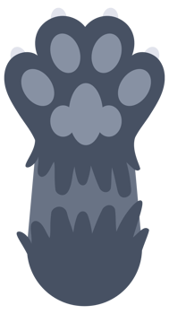 Cat paws set. Cartoon footprints of kitty. Domestic animal foot. png