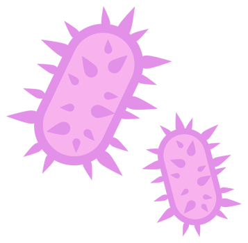 Bacteria and germs set. Types and microorganism. Germs and bacillus. png