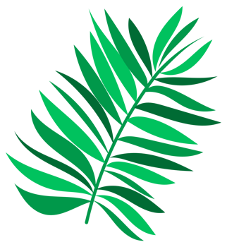 Coconuts with palm leaves. Whole and half cracked broken coco nut. Summer fruits png