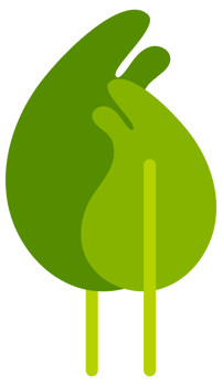 Collection of simple stylized green trees and bushes, perfect for representing nature in a simplified way png