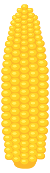 Cartoon corn. Fresh organic vegetable. illustration png