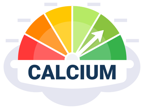Nutritional Calcium Intake Level Chart Illustration with Optimal Dietary Zone Indicator png