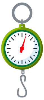 Store electronic and mechanical scales for weight measuring. Market or kitchen measuring instrument. illustration png