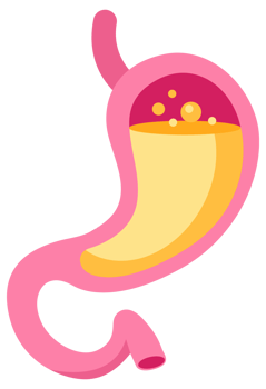 Set of stylized stomach icons in shades of pink, depicting various states of stomach health and conditions png