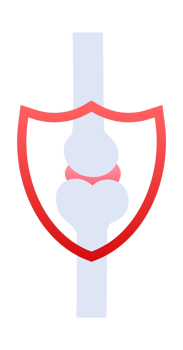 Bone protection shield safeguarding joints and skeletal health png