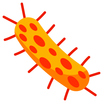 Bacteria and germs set. Types and microorganism. Germs and bacillus. png