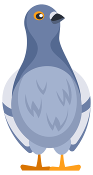 Set of pigeons standing and flying with spread wings png