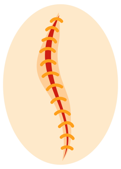 Collection of round icons representing various sutured wounds in different configurations, showing the process of surgical suture healing. png