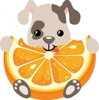 Friendly puppy eating orange slice vector