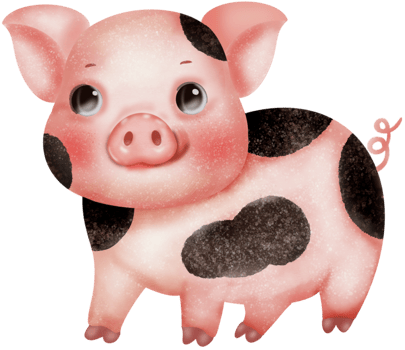 Piggy watercolor drawing png