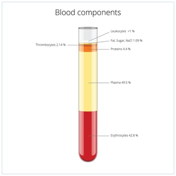 Blood components medical science educational illustration vector
