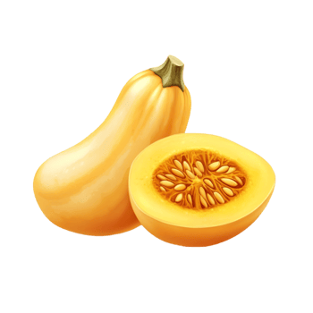 butternut squash isolated png
