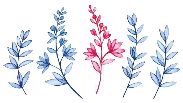 watercolor illustration, set of transparent wildflowers, x-ray. elegant pink and blue print vector