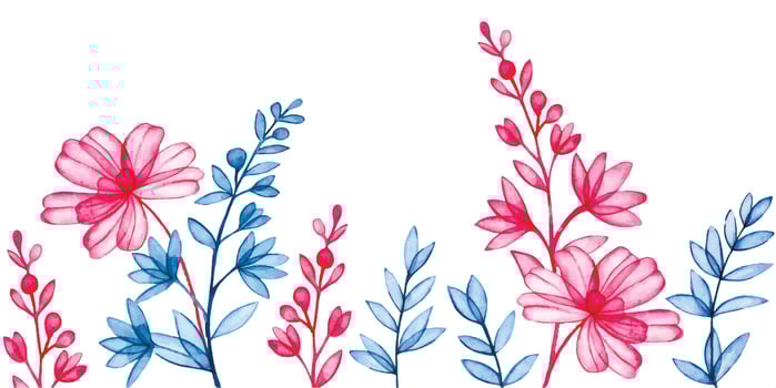 watercolor seamless border of transparent wildflowers, x-ray. elegant pink and blue frame vector