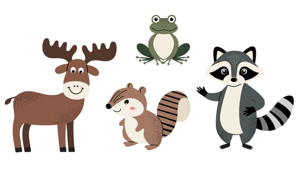 Set of cute woodland animals. Moose, chipmunk, frog, raccoon. vector