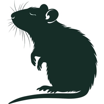 A rat is silhouetted against a white background vector