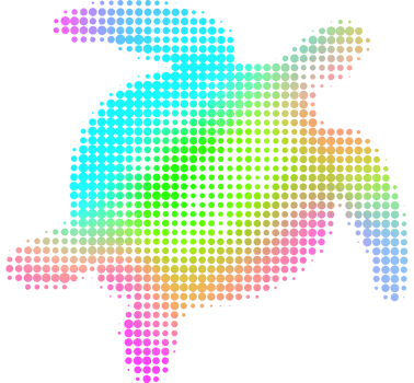 turtle animal wildlife png