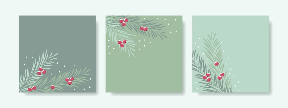 Set of winter Christmas backgrounds with fir branches and berries. vector
