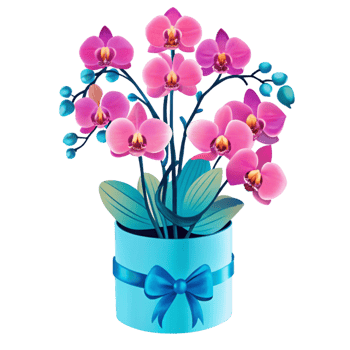 A blue vase with pink orchids in it png